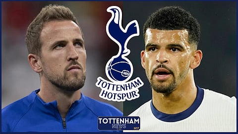 Tottenham striker Dominic Solanke has been compared to Harry Kane (Credit: Imago)