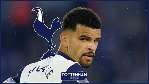 Tottenham striker Dominic Solanke (Credit: Imago)