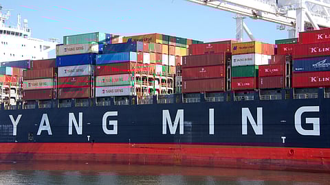 Yang Ming Falls Heavily in H1