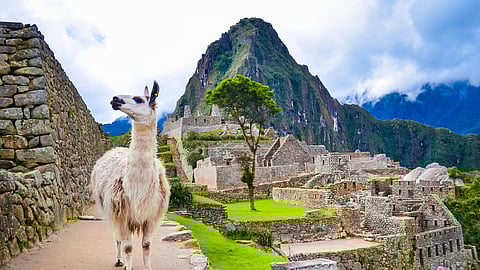 Peruvian Exports to UAE Grow 100%