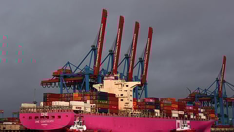 ‘Pink Lady’ Arrives at the Port of Hamburg
