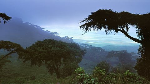 Bolloré Logistics Opens New Hub in Gabon