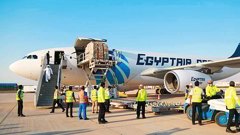 40 tonnes of Live Honey Bees Land at Ras Al Khaimah Airport