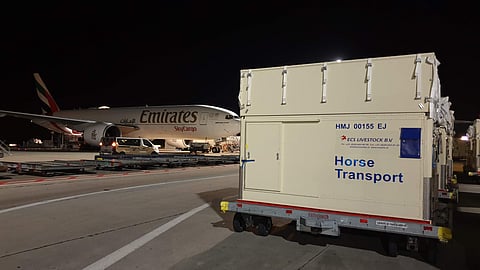 Champion Horses Check-in to Experience Emirates Equine
