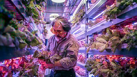 Emirates Flight Catering Creates Fresh, Eco-Friendly F&B Vision