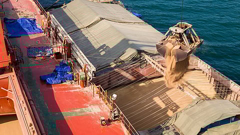 UAE, Saudi Arabia Support Sudan with 540,000 Tonnes of Wheat