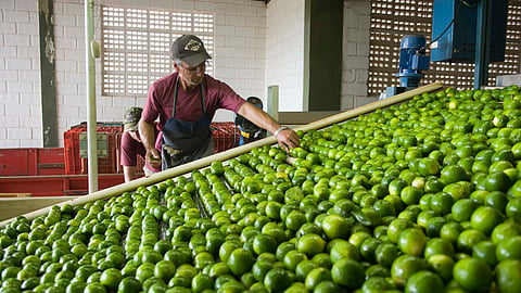 Maersk Launches New Visibility Tool ‘Captain Peter’