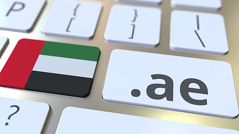 UAE e-Commerce Platforms Boosting Domestic and Regional Trade