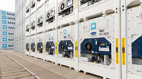 Reefer Shipping to Outpace Dry Cargo Trade Thanks to COVID-19: Drewry