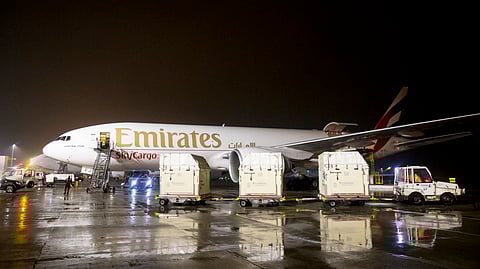 Equine Champions Fly Home on Emirates SkyCargo