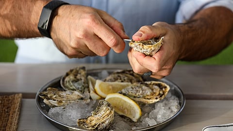 Watch: Emirates SkyCargo Helps UAE SME Export Prime Oysters to Russia