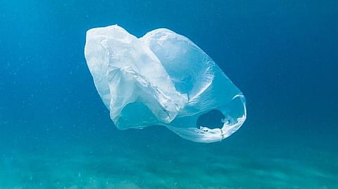 Abu Dhabi Announces Ban on Single-Use Plastic Bags from June 2022