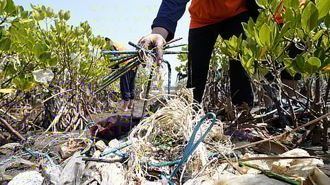 DP World Expands Ambitious Sustainability Strategy