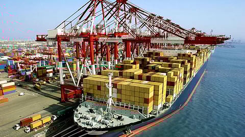 Al Seer Marine to Move 3 Million Tonnes of Bulk Cargo Globally in 2022