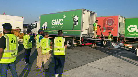 GWC Transports Pandas Suhail and Suraya to Their New Home in Qatar