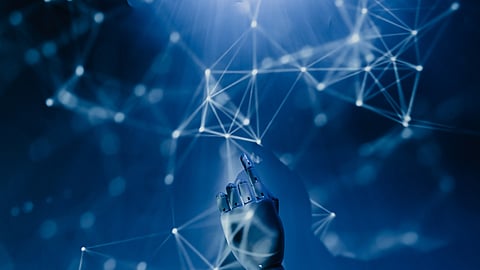 Insight: The Future of Warehouse Automation (& The Port?)