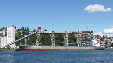 Russia's Pull Out from Ukraine Grain Deal Creates Volatility in Global Markets