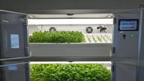 ClassNK Awards First-ever Notation for Installing Hydroponic Vegetable Grower for Ship