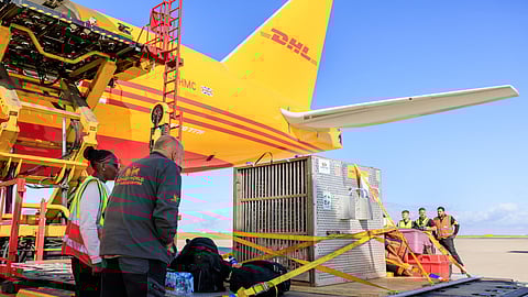 The Most Unusual DHL Deliveries of 2024