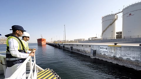 DP World Completes First Phase of Jebel Ali Port's Living Seawalls