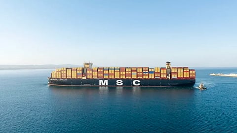 MSC Reshapes South Asia Network With Capacity Boost and New Port Strategy