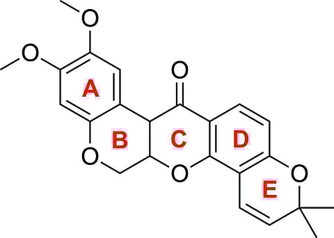 Chemical structure of deguelin. | IMAGE COURTESY OF FRANCISCO J.A. AND PADERES M.C.