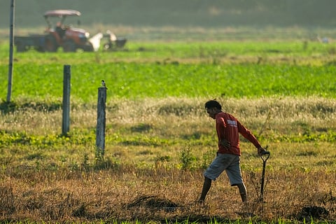 Marcos says no need for nationwide declaration of state of calamity amid El Niño