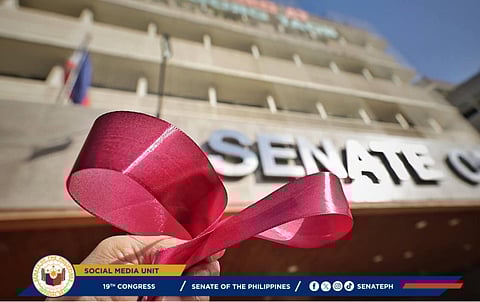 (Photo from Senate of the Philippines / Facebook)