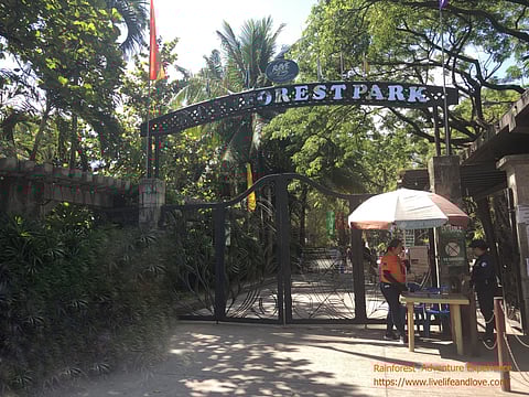 Pasig declares forest park permanent