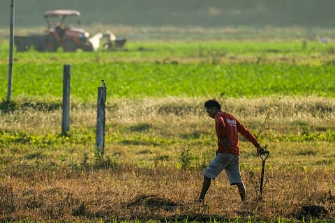 File Photo | 📷 King Rodriguez