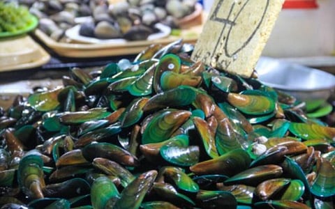 BFAR issues Vis-Min red tide warning