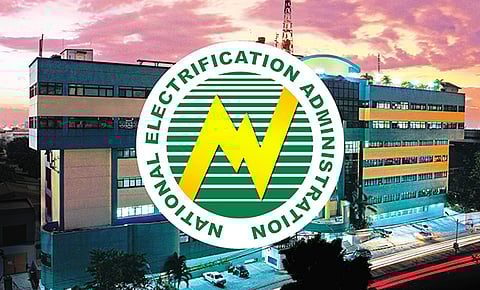 NEA control over PALECO sought