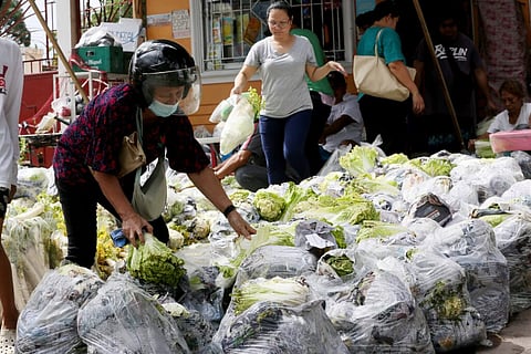 Vegetables from Benguet including radish, cabbage, and wombok or Chinese cabbage are being sold at a sari-sari store inside Provident Village in Marikina City for P20/kilo, on Tuesday 9 January 2024. The P20 per kilo price point is significantly lower than the current price of P50 to 90 per kilo in most wet markets in Metro Manila. Lynette Bernardo, the sari-sari store owner, said farmer friends from Benguet asked for help as the farmers have nowhere to bring the produce, since most wet markets in Metro Manila are already overflowing vegetables. Photo | Analy Labor.