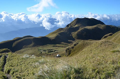 Fire eats part of Mt. Pulag trail