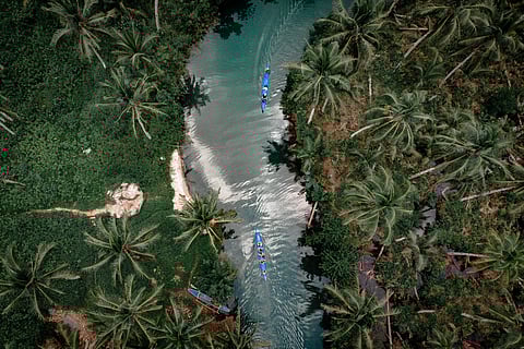 Maasin River, located in the quaint town of Pilar, cuts like a shining dagger through a thick verdant landscape. It is one of the most prominent sites in Siargao. The river offers tourists a pathway to a scenic trip along its many tributaries.