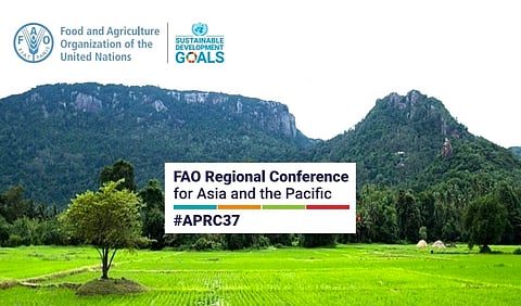 (Photo illustration from FAO / website)