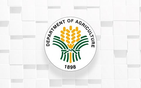 Shear line agri damages now over P173M