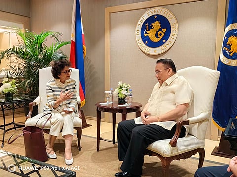 United Nations Special Rapporteur on the Promotion of the Freedom of Opinion and Expression Irene Khan met with Executive Secretary Lucas Bersamin in his office on Thursday, 1 February.