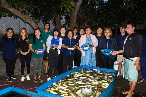 NFRDI, SEAFDEC joint project harvests 600 kilos of pompano