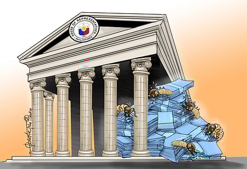 Termites infest House