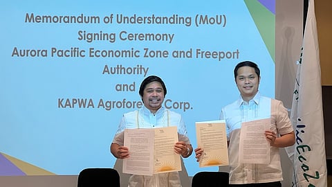 APECO secures P1.2-B investment for bamboo plantation