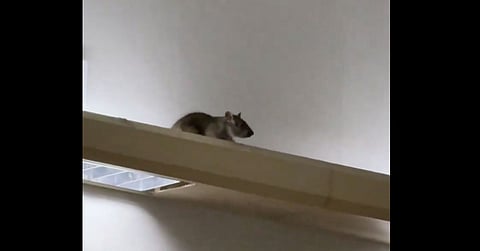 Execs of infested NAIA under siege