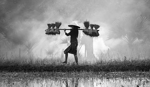 EU drafts law banning goods made using forced labor