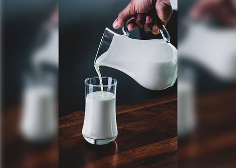 H5N1 strain of bird flu found in milk: WHO