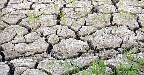 DA boosts drought defenses