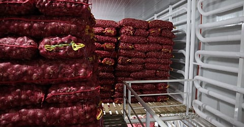 Sacks of onions in cold storage facilities