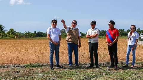 President Ferdinand Marcos Jr. inspects the extent of crop damage at an onion and rice field that were badly hit by drought due to El Niño in Brgy. Central in the municipality of San Jose, province of Occidental Mindoro on Tuesday, 23 April 2024. 

With the President are (from left) Occidental Mindoro Lone District Representative Leody F. Tarriela, Agriculture Secretary Francisco P. Tiu Laurel Jr., National Irrigation Administration (NIA) Administrator Eduardo G. Guillen, and Occidental Mindoro Vice Governor Aniceta Diana Apigo-Tayag. 

As of 10 April 2024, the Department of Agriculture - Region 4B recorded a total damage of P619,382,085 on crops in Occidental Mindoro. 
