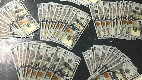 Tribune-bundles-of-dollar-bills