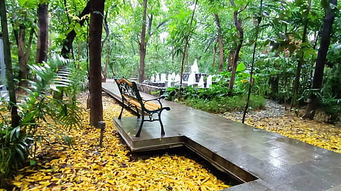 Arroceros Park in Manila records lower temperature than city heat index