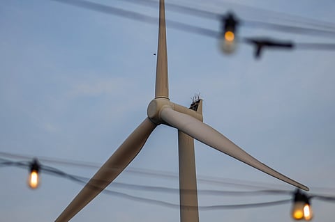 TRIBUNE-Sunset-Windmills